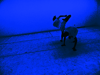 Suchu Dance presents Begin Wide