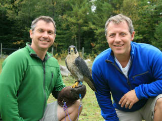 Wild Kratts