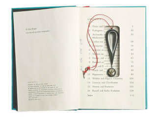 Sondra Sherman / Great Ideas of Science Pendant