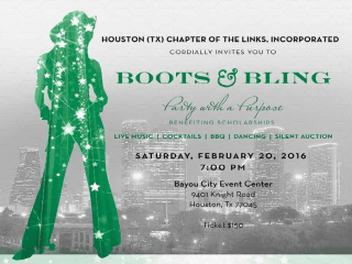 Houston (TX) Chapter of the Links, Inc. / Boots & Bling Party