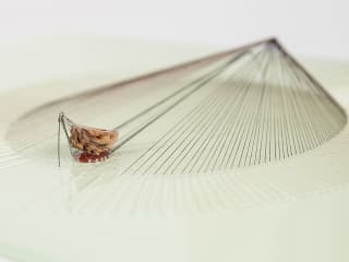 Houston Center for Contemporary Craft presents In Residence