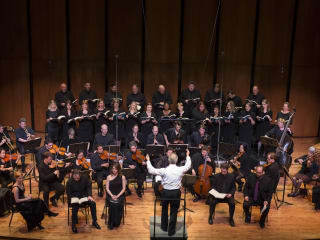 2015 Houston Early Music Festival: Bach Society Houston presents "Music for Celebration"