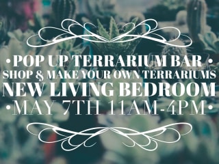Pop Shop Houston presents Shop & Make Terrarium Pop Up