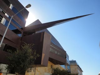Austin City Hall armadillo tail