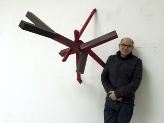 Joel Shapiro