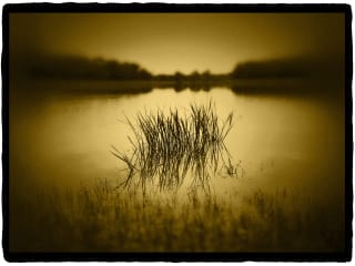 Sun to Moon Gallery presents The Dallas Portfolio