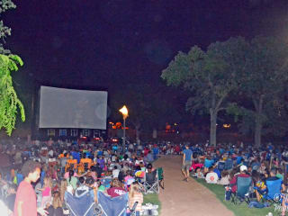 101X Summer Cinema