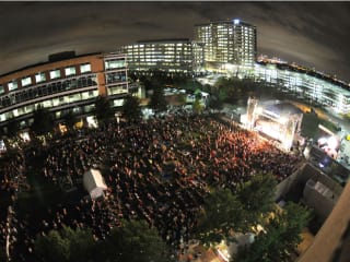 Wildflower Festival