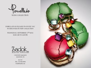 Designer apperance and trunk show: Pomellato