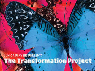 The Transformation Project
