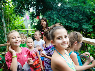 Texas Discovery Gardens Presents Fair Park Fourth: Red, White and Butterflies