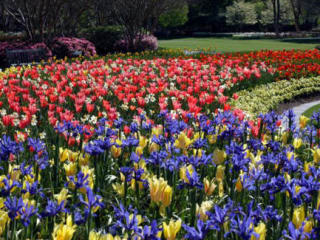 Dallas Arboretum and Botanical Garden
