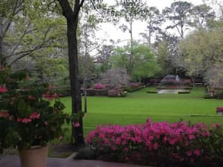 River Oaks Garden Club's Azalea Trail