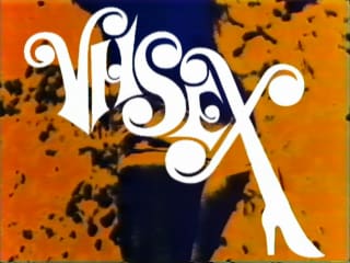 VHSEX presented by Scarecrow Video