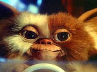 Gizmo from movie Gremlins