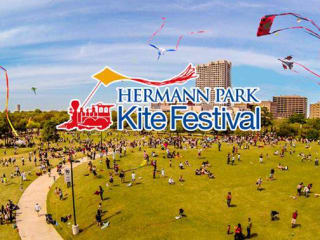 Kite Festival 2015