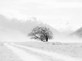 Sun to Moon Gallery presents Jeffrey Conley: Balanced Simplicity