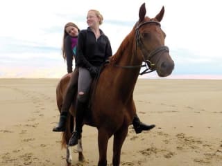 QFest 2014 film screening: Of Girls and Horses