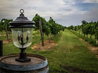 lantern and vineyards at Messina Hof winery in Bryan