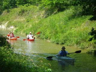 Bayou Preservation Association's Cypress Creek Regatta