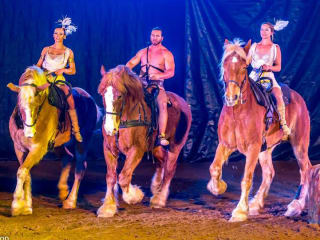 horses and performers of Gladius