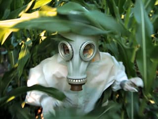 Chipotle Green Film Series: GMO OMG
