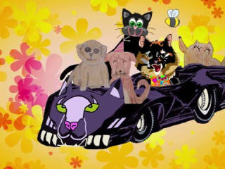 Cute Cat Music Video: Peace Love & Rescue