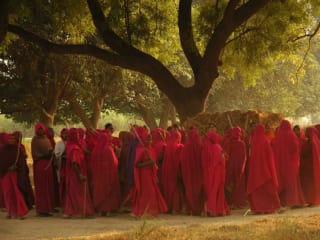 Gulabi Gang