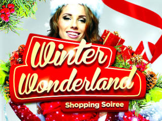 Austin Social Affair - Winter Wonderland Shopping Soiree Poster - December 2014