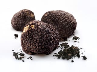 First Annual Houston Truffle Chef of the Year Challenge