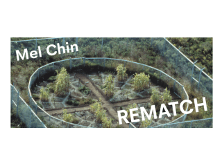 Contemporary Arts Museum Houston opening reception: Mel Chin: Rematch