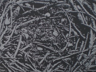 Cardoza Fine Art opening reception: In Passing