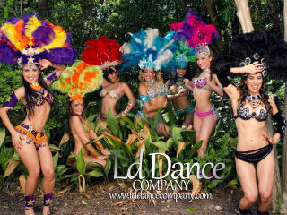 Houston Brazilian Carnaval 2015 "Carnaval of Colors"