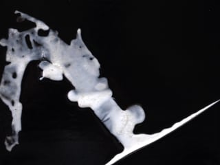 Archway Gallery opening reception: Shimmer by Donna E. Perkins