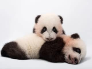 Conservation Forum: National Geographic Photographer Joel Sartore