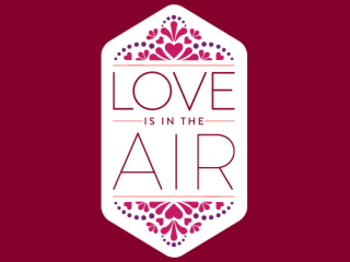 2015 American Heart Association Ball "Love is in the Air"