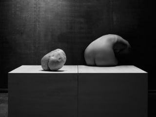 The Nature of Forms and Intentionally Dirty
