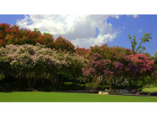 Dallas Arboretum presents Summer at the Arboretum