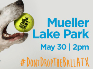 Austin Animal Center_Don't Drop the Ball ATX_May 2015