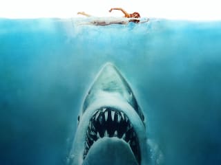 News_fav sharks_Jaws