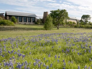 Photo of Lady Bird Johnson Wildflower Center