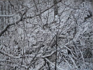 The Forest and the Trees & The View From Here