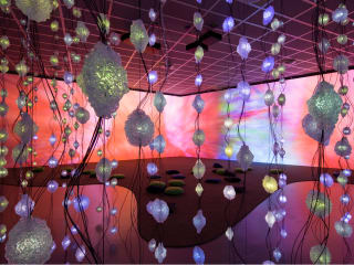 The Museum of Fine Arts, Houston presents Pipilotti Rist: "Pixel Forest and Worry Will Vanish" opening day