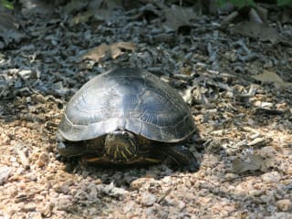 Sheldon Lake State Park presents Kids to Parks Day