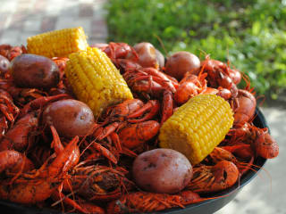 crawfish
