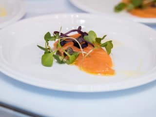 Salmon sashimi from Kenichi