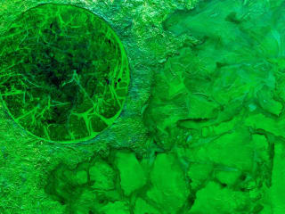 Frisco Fine Art presents Abstract Perspective: The Art of Kathy Metcalf