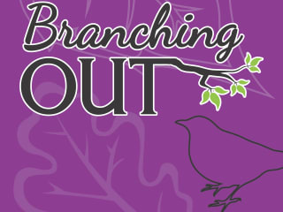 Theatre Arlington presents Branching Out