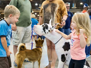 40th Houston World Series of Dog Shows