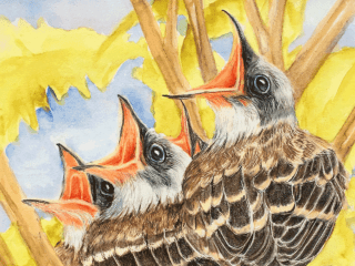 Art.Science.Gallery. presents August Artist Pop-Up featuring Pat Falconer
